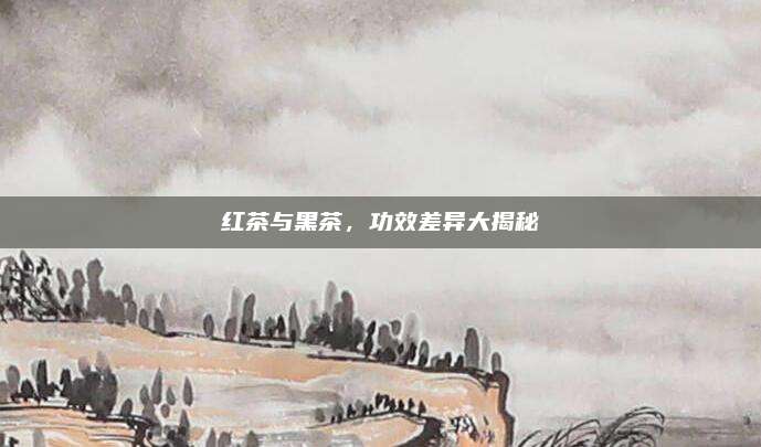 红茶与黑茶，功效差异大揭秘