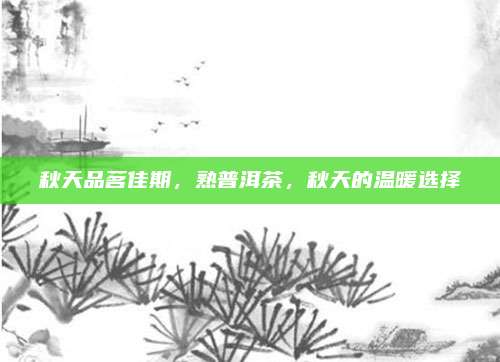 秋天品茗佳期,熟普洱茶,秋天的温暖选择