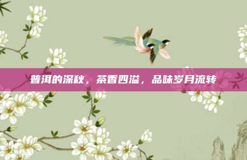 普洱的深秋,茶香四溢,品味岁月流转