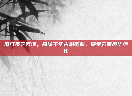 滇红茶艺表演，品味千年古树茶韵，感受云南风华绝代