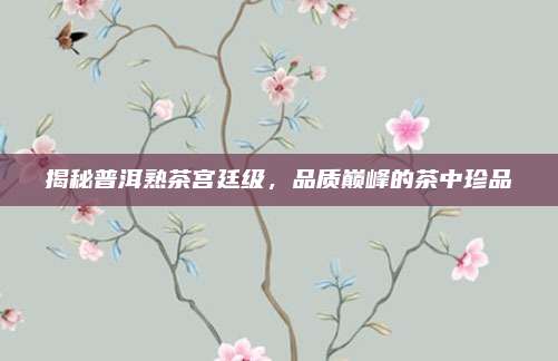 揭秘普洱熟茶宫廷级，品质巅峰的茶中珍品