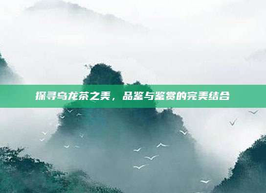 探寻乌龙茶之美，品鉴与鉴赏的完美结合