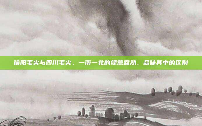 信阳毛尖与四川毛尖，一南一北的绿意盎然，品味其中的区别