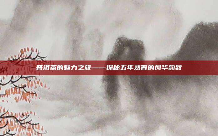 普洱茶的魅力之旅——探秘五年熟普的风华韵致