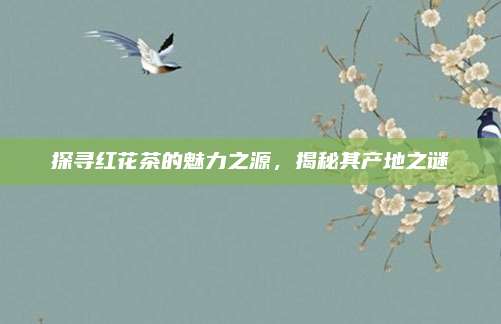 探寻红花茶的魅力之源，揭秘其产地之谜
