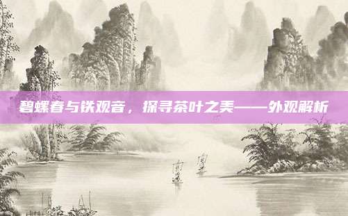 碧螺春与铁观音,探寻茶叶之美——外观解析