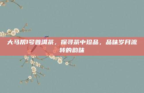 大马帮1号普洱茶，探寻茶中珍品，品味岁月流转的韵味