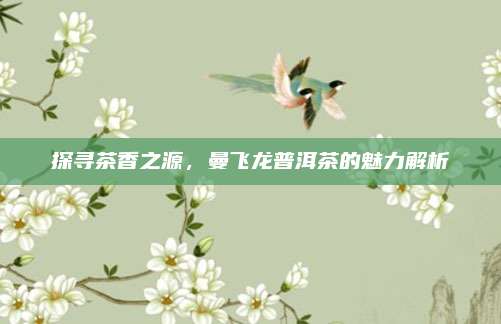 探寻茶香之源，曼飞龙普洱茶的魅力解析