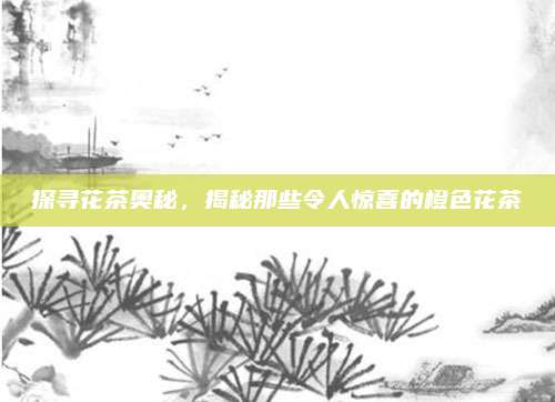 探寻花茶奥秘，揭秘那些令人惊喜的橙色花茶