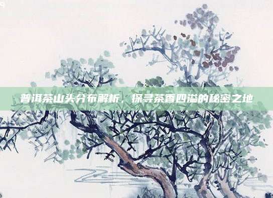 普洱茶山头分布解析，探寻茶香四溢的秘密之地