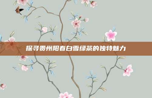探寻贵州阳春白雪绿茶的独特魅力