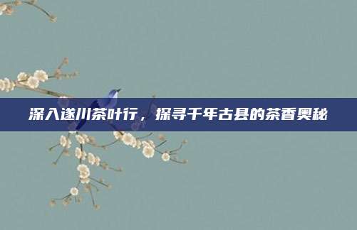 深入遂川茶叶行，探寻千年古县的茶香奥秘