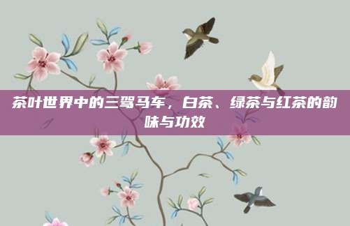 茶叶世界中的三驾马车,白茶、绿茶与红茶的韵味与功效