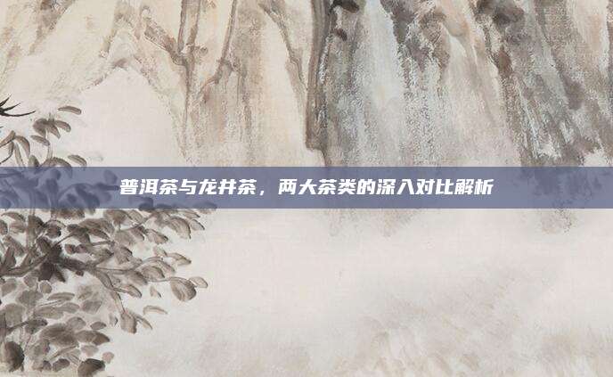 普洱茶与龙井茶,两大茶类的深入对比解析