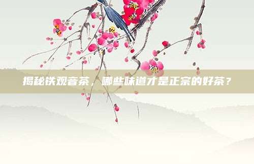 揭秘铁观音茶，哪些味道才是正宗的好茶？