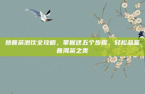 熟普茶泡饮全攻略，掌握这五个步骤，轻松品鉴普洱茶之美