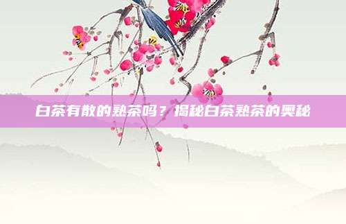 白茶有散的熟茶吗？揭秘白茶熟茶的奥秘