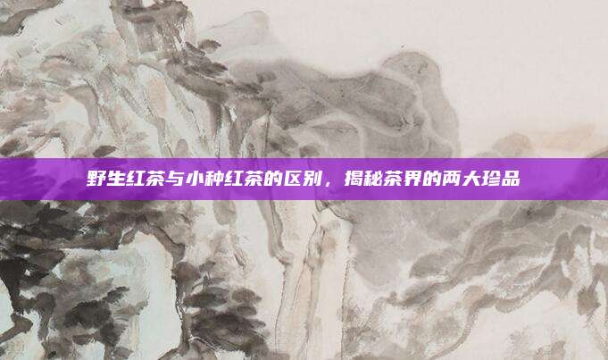 野生红茶与小种红茶的区别，揭秘茶界的两大珍品