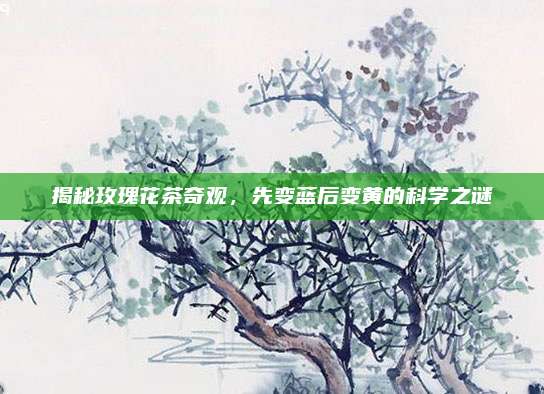 揭秘玫瑰花茶奇观，先变蓝后变黄的科学之谜