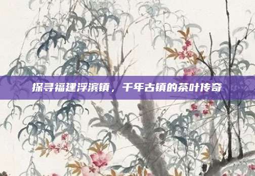 探寻福建浮滨镇,千年古镇的茶叶传奇