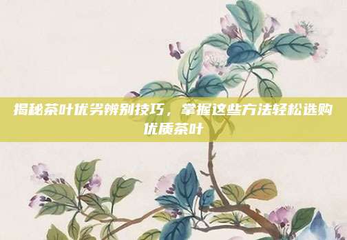 揭秘茶叶优劣辨别技巧,掌握这些方法轻松选购优质茶叶