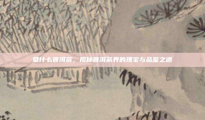 堂什么普洱茶，揭秘普洱茶界的瑰宝与品鉴之道