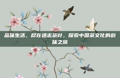 品味生活，尽在逸志茶叶，探索中国茶文化的韵味之旅