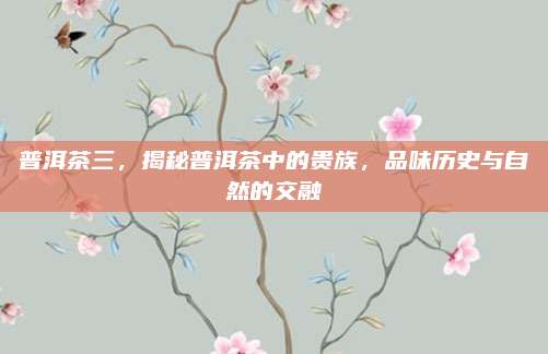 普洱茶三，揭秘普洱茶中的贵族，品味历史与自然的交融