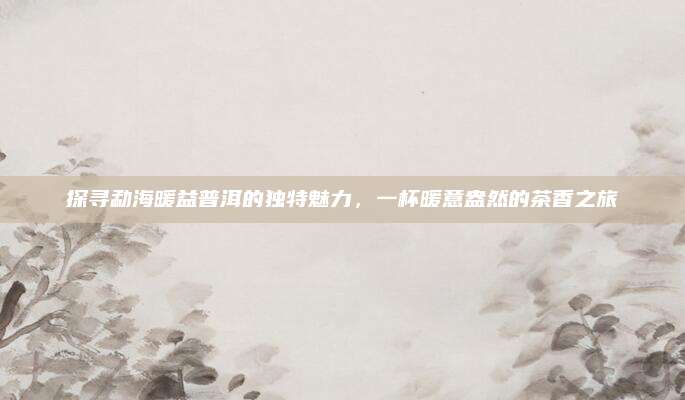 探寻勐海暖益普洱的独特魅力，一杯暖意盎然的茶香之旅