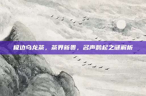 极边乌龙茶，茶界新贵，名声鹊起之谜解析