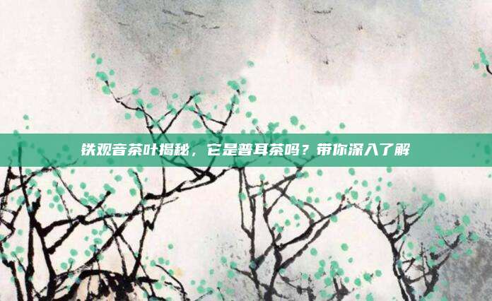 铁观音茶叶揭秘，它是普耳茶吗？带你深入了解