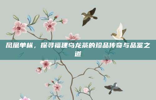凤凰单枞，探寻福建乌龙茶的珍品传奇与品鉴之道