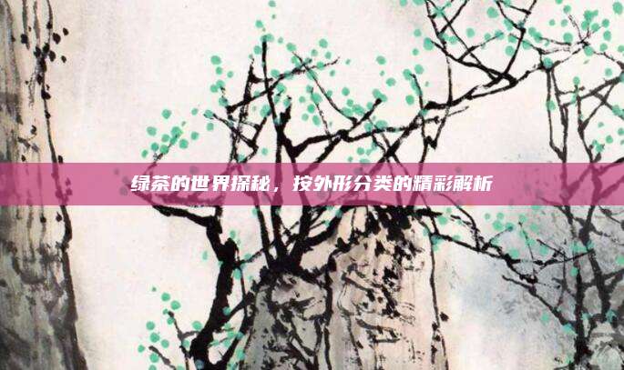 绿茶的世界探秘，按外形分类的精彩解析