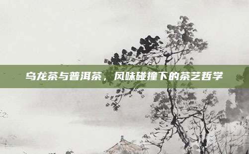 乌龙茶与普洱茶，风味碰撞下的茶艺哲学
