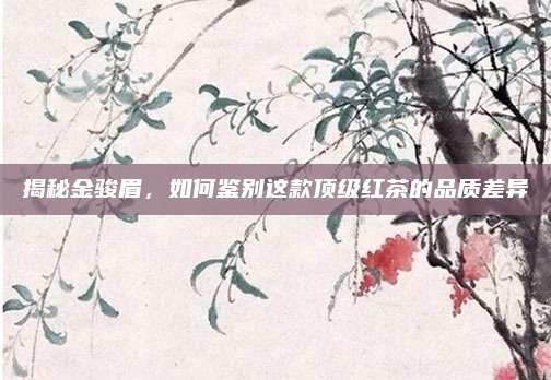 揭秘金骏眉，如何鉴别这款顶级红茶的品质差异