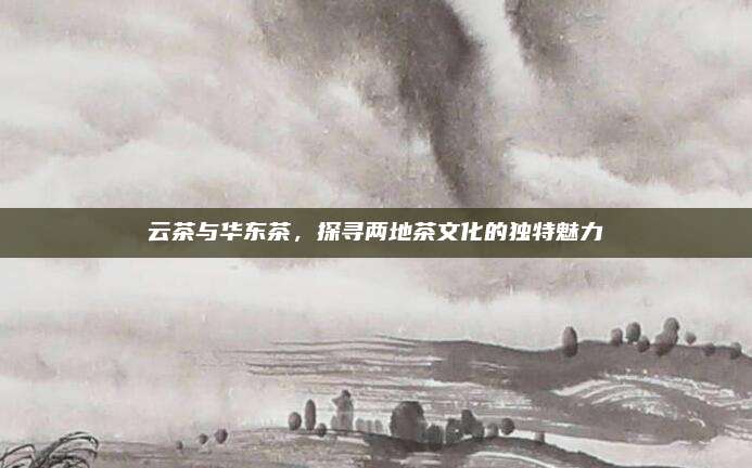 云茶与华东茶，探寻两地茶文化的独特魅力