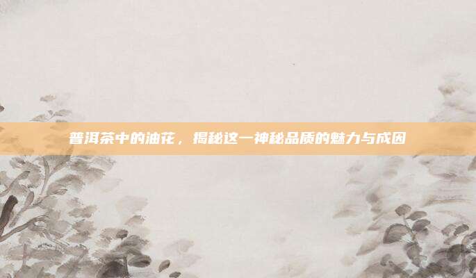 普洱茶中的油花，揭秘这一神秘品质的魅力与成因
