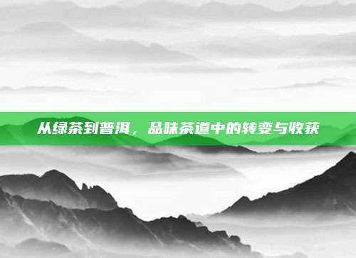 从绿茶到普洱，品味茶道中的转变与收获