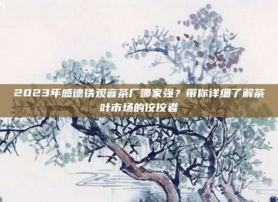 2023年感德铁观音茶厂哪家强?带你详细了解茶叶市场的佼佼者