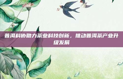 普洱科协助力茶业科技创新，推动普洱茶产业升级发展