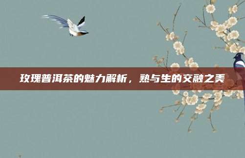 玫瑰普洱茶的魅力解析，熟与生的交融之美