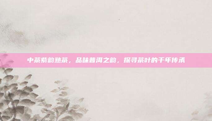 中茶紫韵熟茶，品味普洱之韵，探寻茶叶的千年传承
