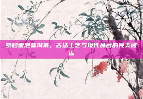 紫砂壶泡普洱茶，古法工艺与现代品茗的完美邂逅