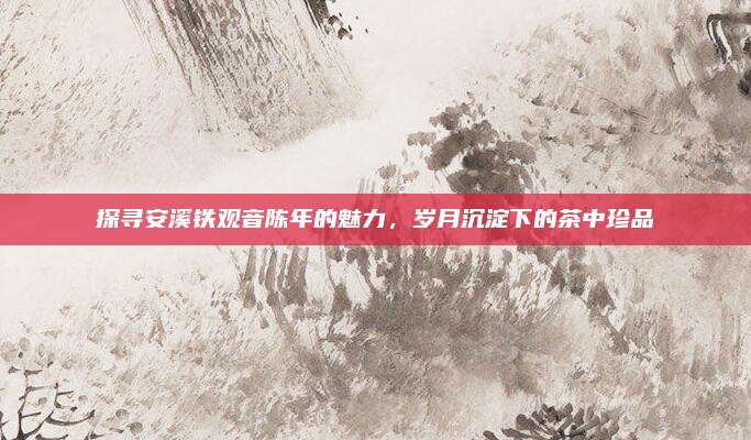 探寻安溪铁观音陈年的魅力，岁月沉淀下的茶中珍品