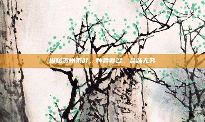 探秘贵州茶叶，种类繁多，品味无穷
