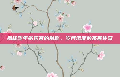 揭秘陈年铁观音的别称，岁月沉淀的茶香传奇