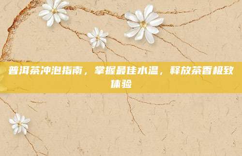 普洱茶冲泡指南，掌握最佳水温，释放茶香极致体验