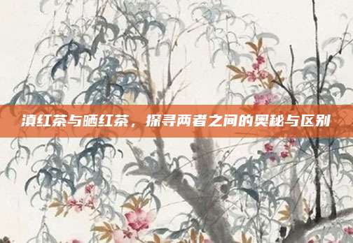 滇红茶与晒红茶，探寻两者之间的奥秘与区别