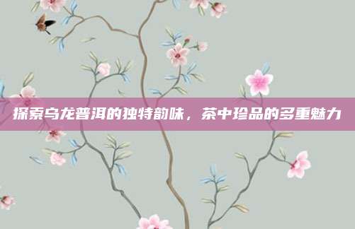探索乌龙普洱的独特韵味，茶中珍品的多重魅力