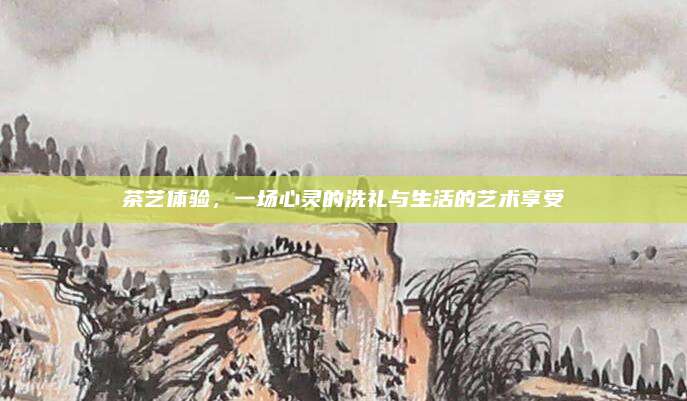 茶艺体验，一场心灵的洗礼与生活的艺术享受